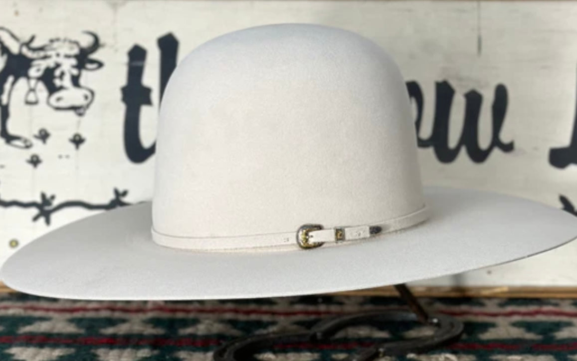 Rodeo King 60X 4 1/2" Brim | Silverbelly