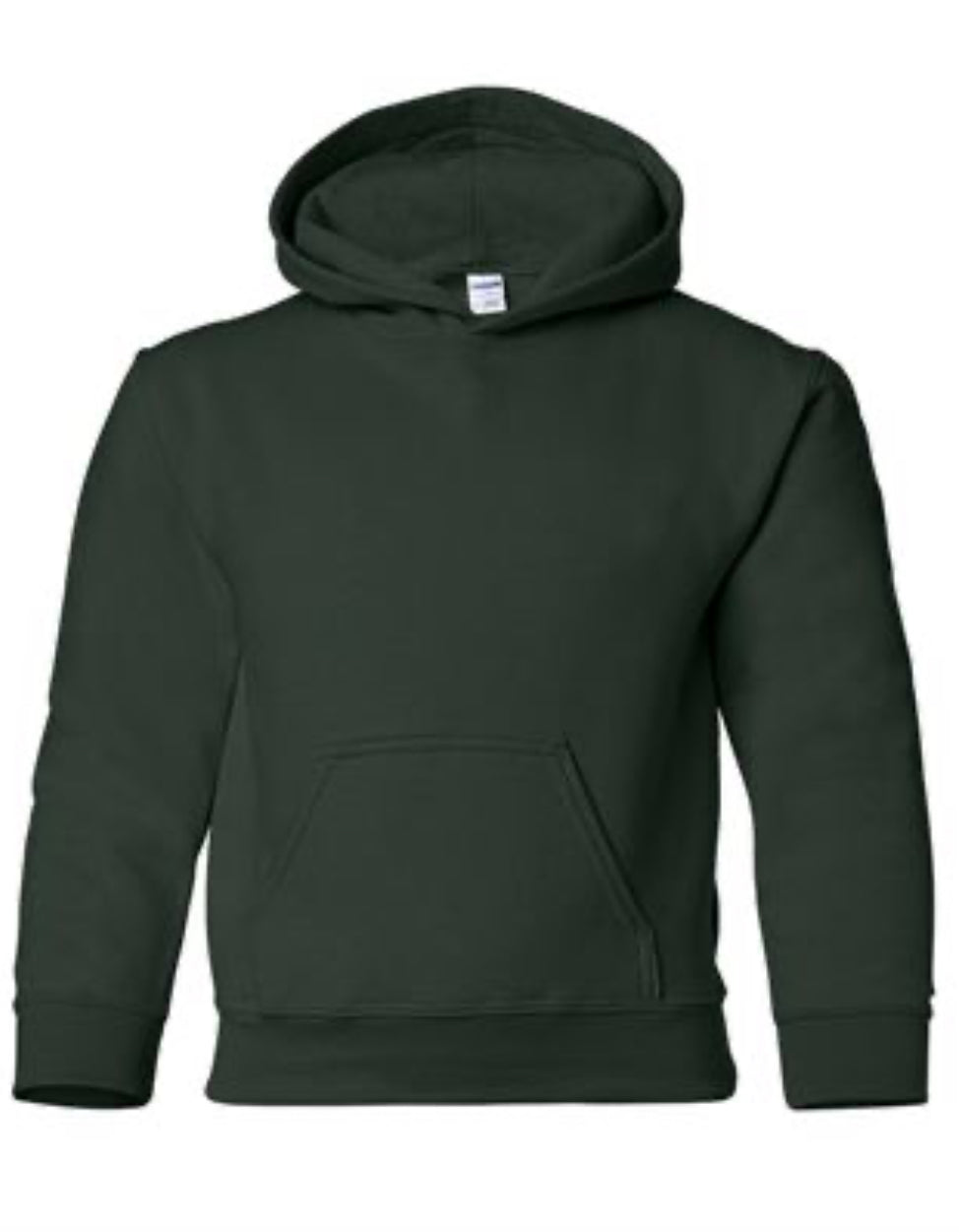 Youth Hooded Sweatshirt