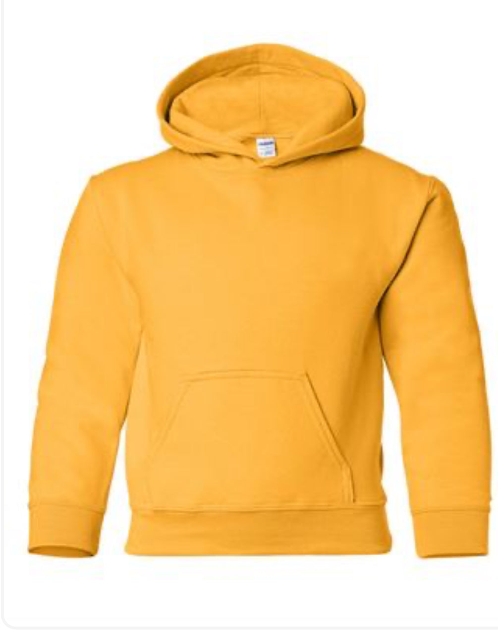 Youth Hooded Sweatshirt