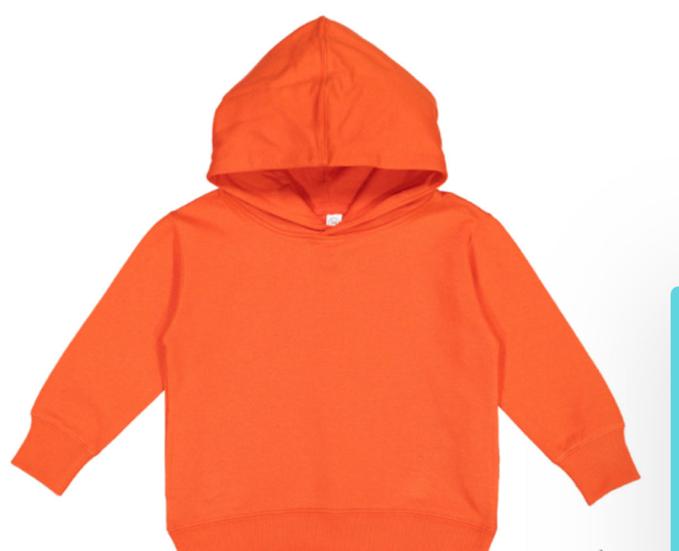 Toddler Hooded sweatshirt