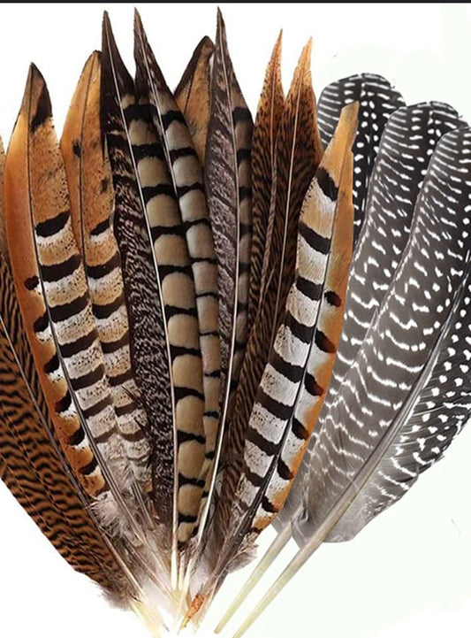 Feathers